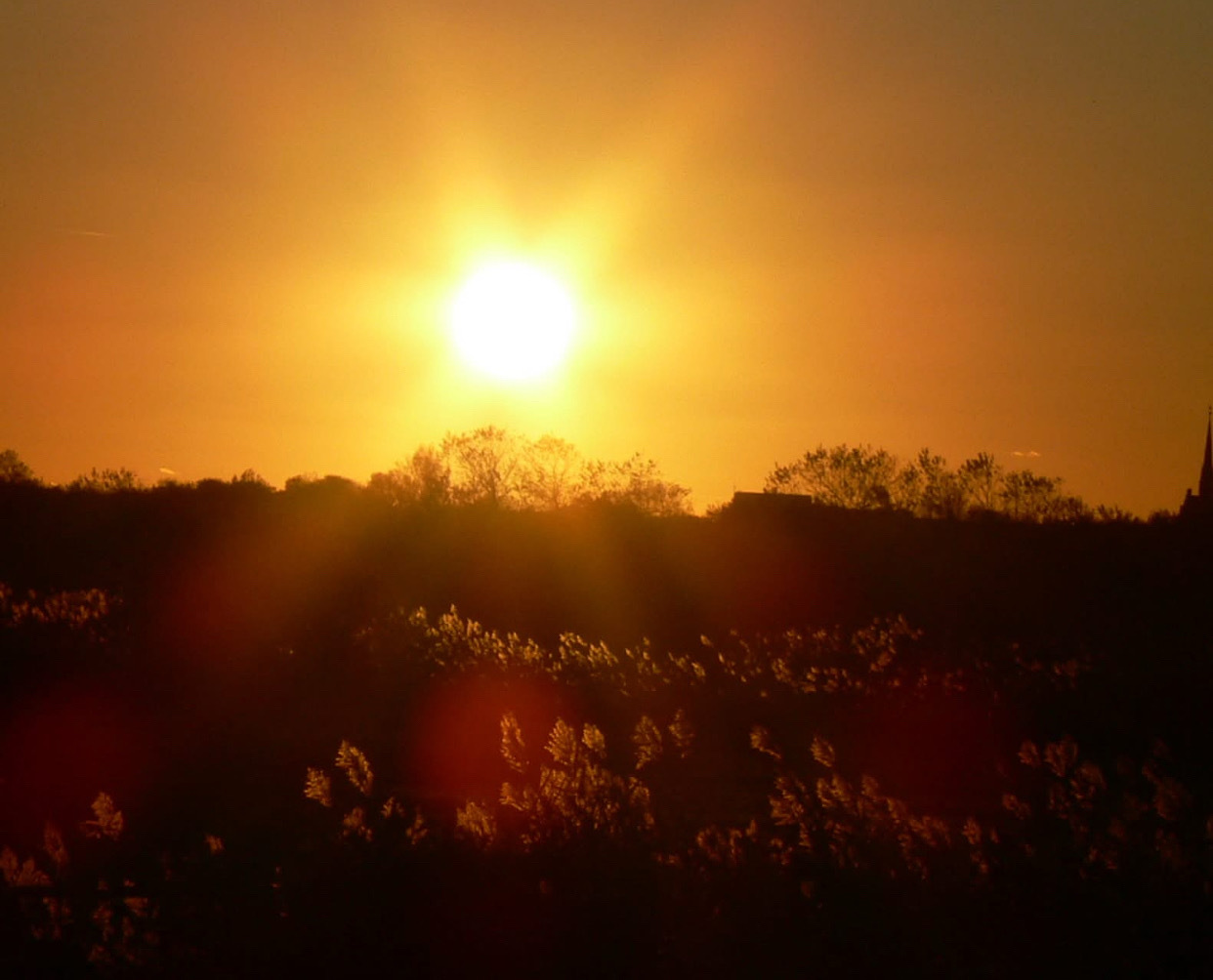 Wie innere Ruhe dein Abwehrsystem stärkt
