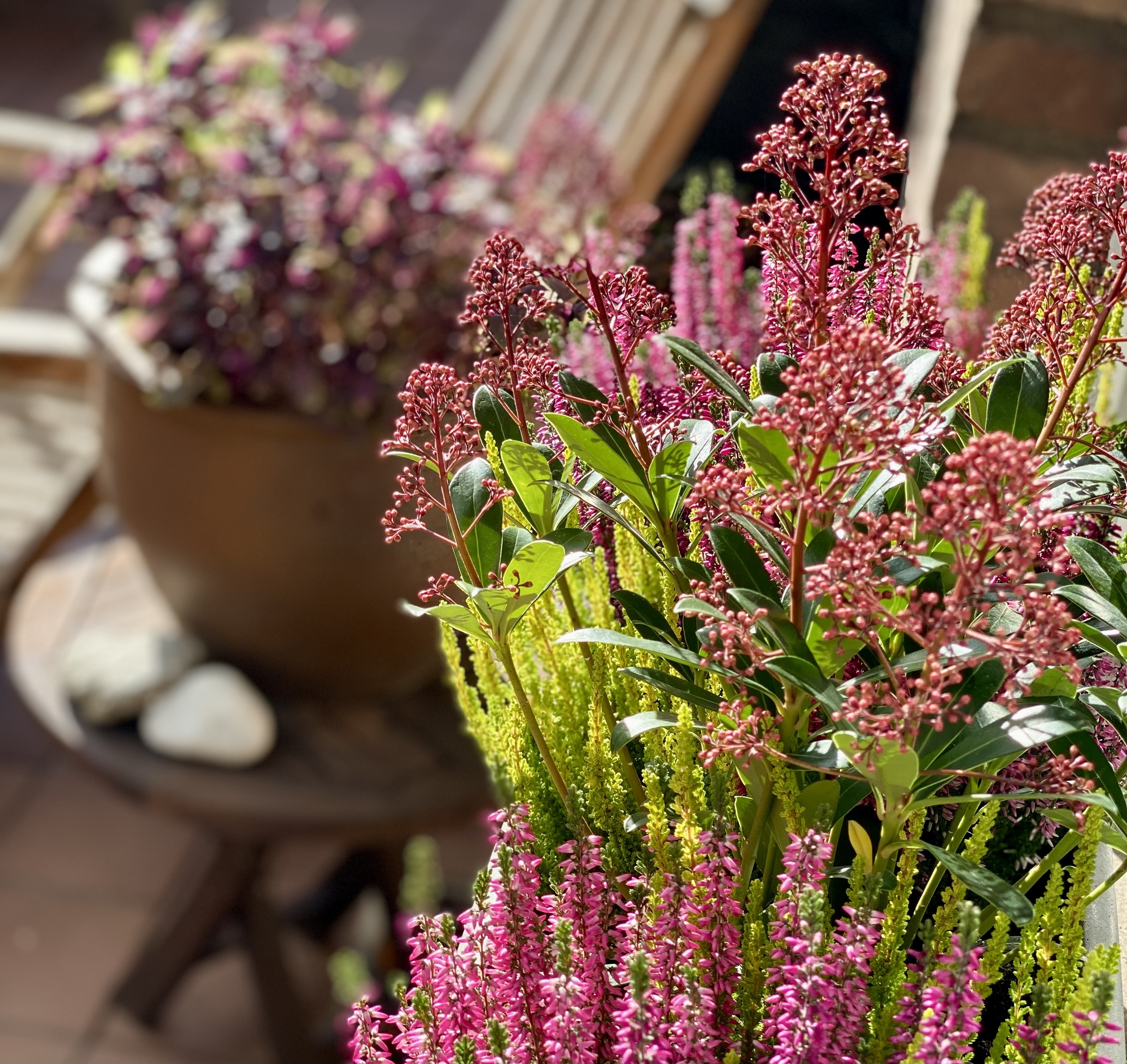 Immunsystem & innere Balance – warum dein Körper mehr braucht als Vitamin C