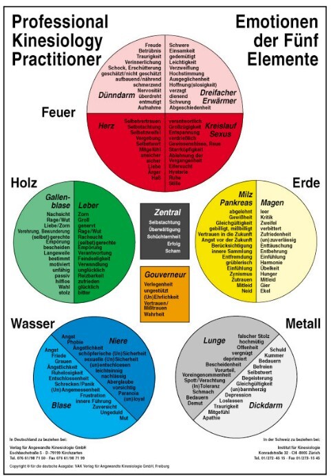 Kinesiologische Methoden