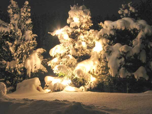 Ein frohes und gesegnetes Weihnachtsfest! 